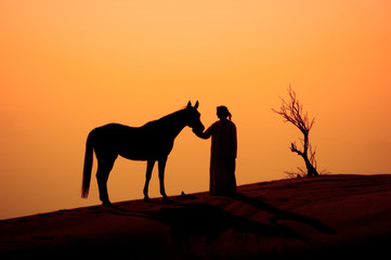  silhouette of bedouine man and horse in the desert