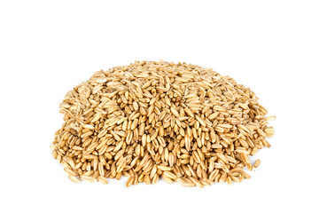 Oatmeal rice