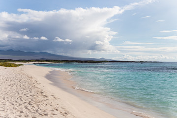 Obraz premium White sandy beach of Espanola island in the Galapagos Ecuador
