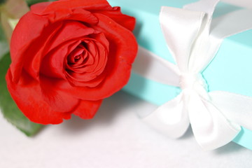 赤い薔薇の花と白いリボンがかかったプレゼントの箱(白背景)