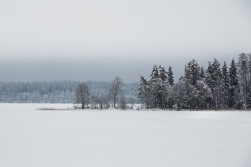 View on frozen lake with snowed trees in coast line