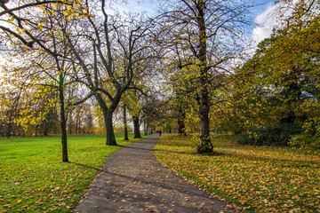 Fototapeta na wymiar Landscape view of pedestrian path in Hyde park. Some people walking in the distance. London, United Kingdom.