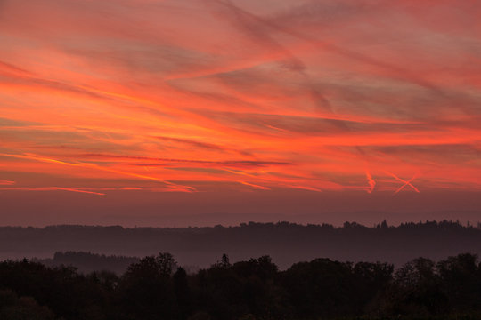 Burning red sky with a black forest with fog and shadows