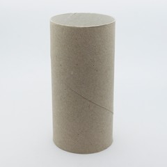 Shots to some carboard toilet paper rolls