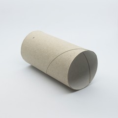 Shots to some carboard toilet paper rolls
