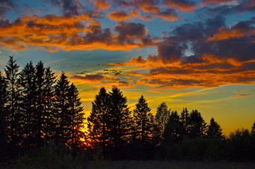 August sunset over the forest with bright clouds