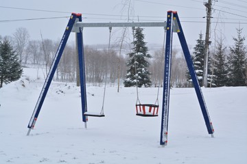 swing in snow