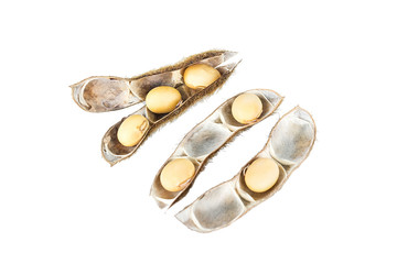 Shelled ripe soybeans/soybeans