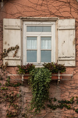 Old house with ivy and white shutters