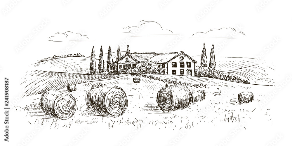 Wall mural rural landscape, village sketch. farm, vintage vector illustration