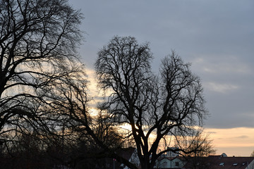 winterlicher abendhimmel