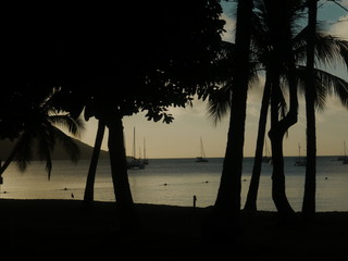 sunset scene of an exotic place with palm trees and sailing boats