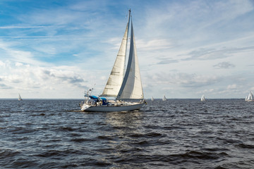 Fototapeta premium Sailing on the Neuse River