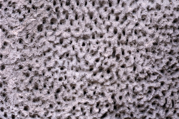 Close-up photo. Masonry Wall Decoration Fragment.