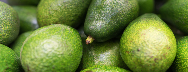 Top view of fresh green avocados in the market place. Lots of green avocados, pattern of green fruits in the shop