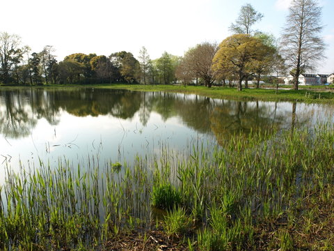 water refrection
