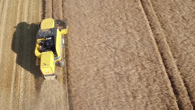 Aerial of a yellow combine harvester in a beautiful golden wheat field as it harvests on a bright sunny day in bavaria germany 
