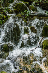 close-up natural landscape with a small waterfall in the forest; landscape in green with bumping water over rocks and moss