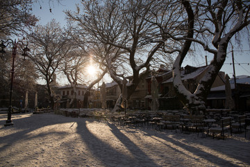 snow ice winter season trees road in Ioannina city Greece