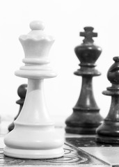 Scacchi fotografati su una scacchiera