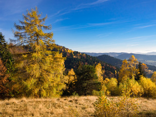 Fototapeta na wymiar Beskids Mountains in Autumn. Jaworzyna Range nearby Piwniczna-Zdroj, Poland.
