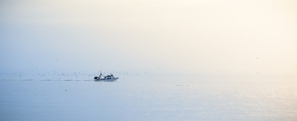 Boot fährt auf dem Meer