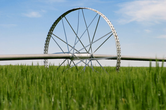 Farming