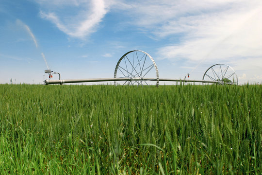 Farming
