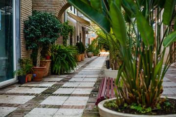 Hinterhof Weg mit Palmen