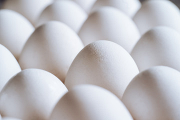 White chicken eggs in a carton. Tray of eggs
