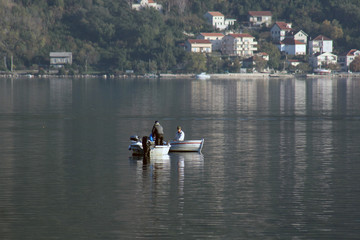 Boka Kotorska bar