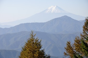 奥秩父の七ツ石山からの富士山