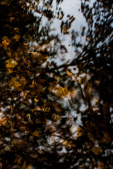 art of nature herself