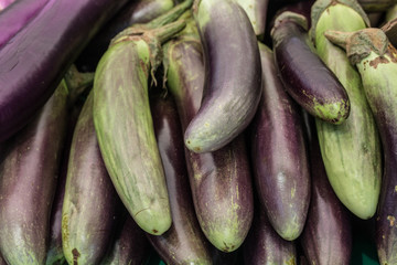 eggplant_at_the_market