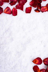 Rose leaves in the snow,  Valentine's Day