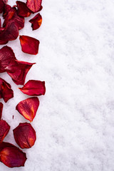 Rose leaves in the snow,  Valentine's Day
