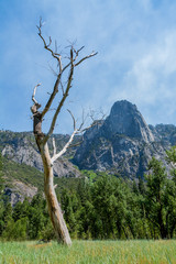 Fototapeta na wymiar Yosemite US National Park