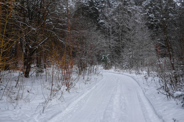 Landscape with the image of a winter road