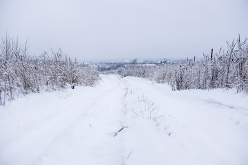 Landscape with the image of a winter road
