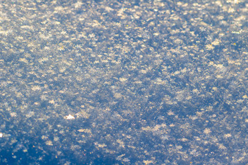 Morning fluffy snow with beautiful snowflakes