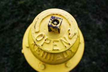 top of a yellow fire hydrant