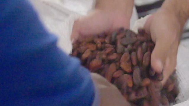 A Man Opening A Big Bag Of Cacao Beans with a knife in A Warehouse 