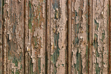 Obraz premium Background of old boards with peeling paint