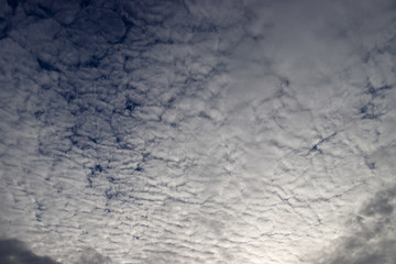 Fototapeta premium Clouds illuminated from below by the setting sun.