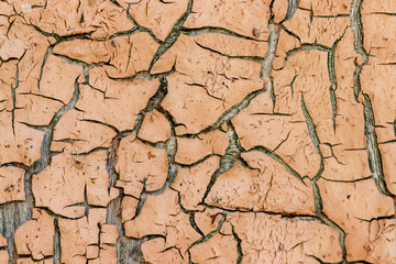 Background from peeling orange yellow paint on an old wooden board