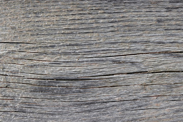 Background of old wood