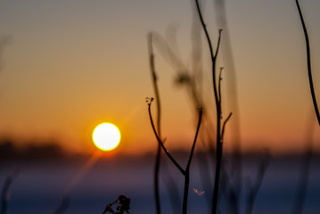 Sonne Bokeh. Bokehball. Äste im Vordergrund. Landschaftsbild. Sonnenuntergang