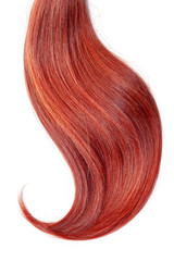 Fototapeta premium Red hair, isolated on white background. Long and disheveled ponytail