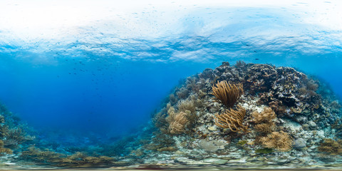 Naklejka na ściany i meble 360 reef scene in Caribbean