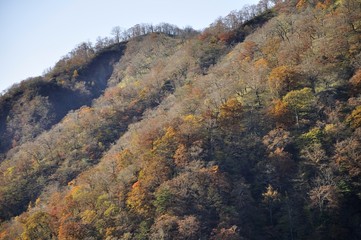 丹沢山の紅葉と日高